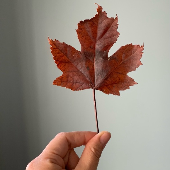 Meet your Posher, Melissa - Picture 1 of 1